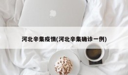 河北辛集疫情(河北辛集确诊一例)