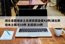 湖北省新增本土无症状感染者42例/湖北新增本土确诊10例 无症状10例