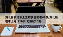 湖北省新增本土无症状感染者42例/湖北新增本土确诊10例 无症状10例