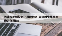天津多地调整为中风险地区(天津两中风险区降为低风险)