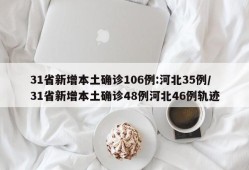 31省新增本土确诊106例:河北35例/31省新增本土确诊48例河北46例轨迹