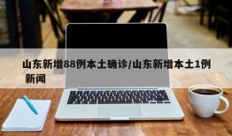 山东新增88例本土确诊/山东新增本土1例 新闻